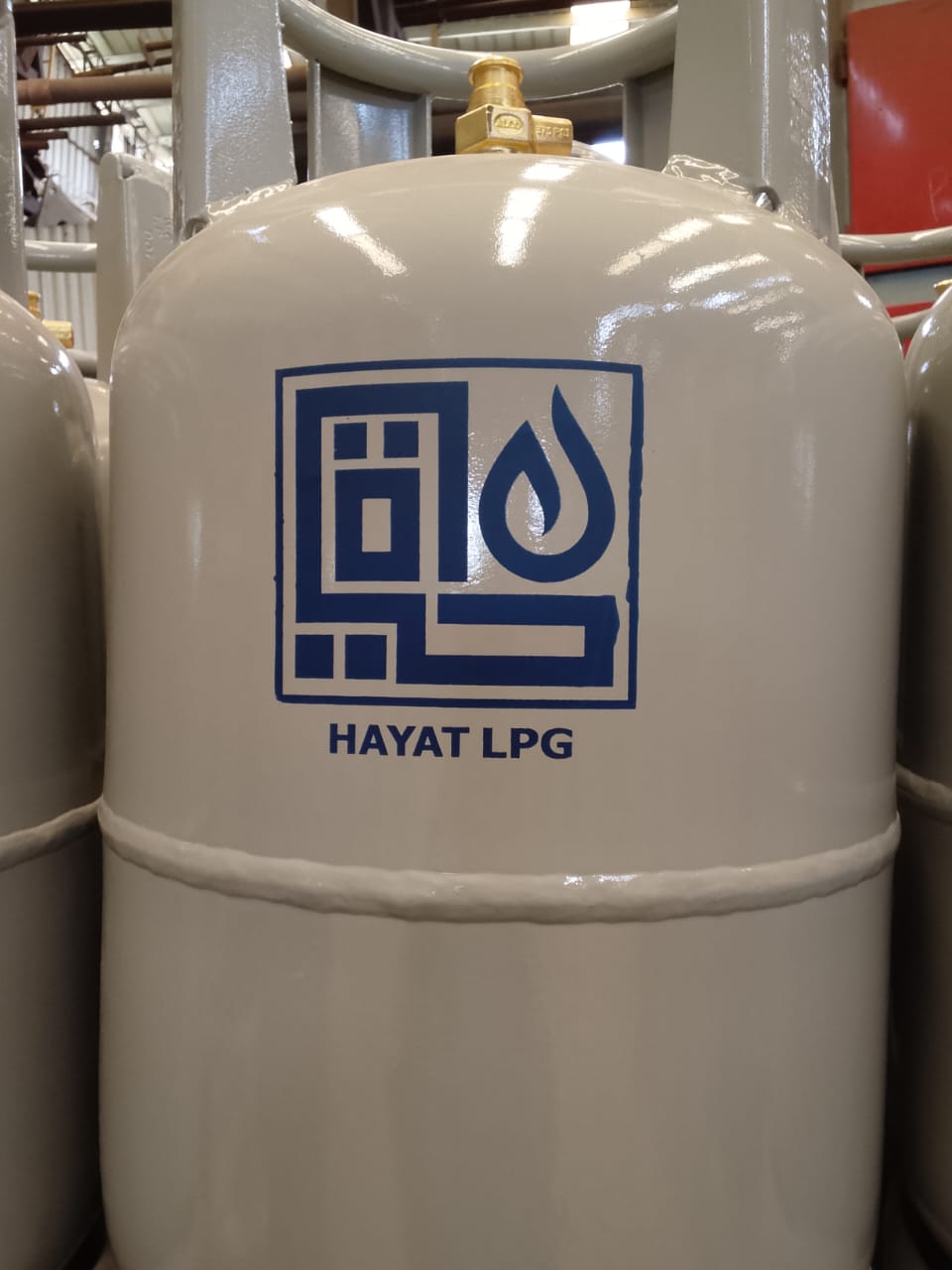 Hayat LPG branded cylinder close-up